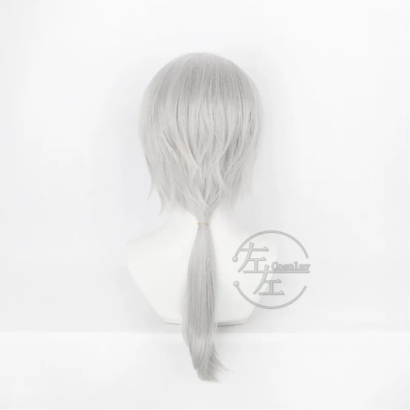 Arknights: Endfield Ardashir Cosplay Wig Silver-gray Ponytail Heat Resistant Synthetic Wigs for Men Women Game Festival Carnival