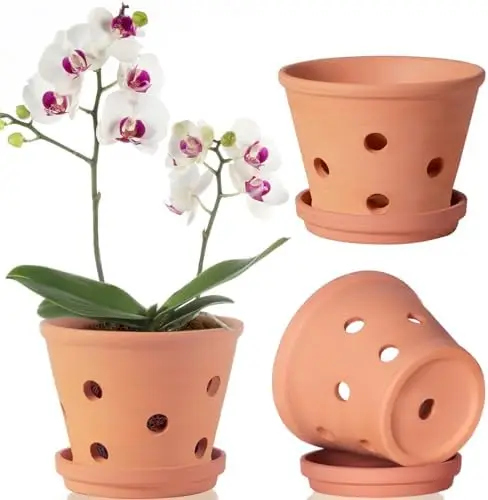 

6 Inch Terracotta Orchid Pots with Holes, 3 Pack Clay Pots for Indoor & Outdoor Use