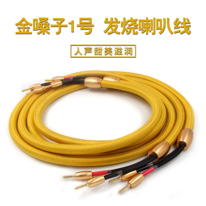 Japan Accuphase Golden Throat No. 1, Extreme Burning Grade, Professional HiFi Audio Speaker Cable, Fever Speaker Cable