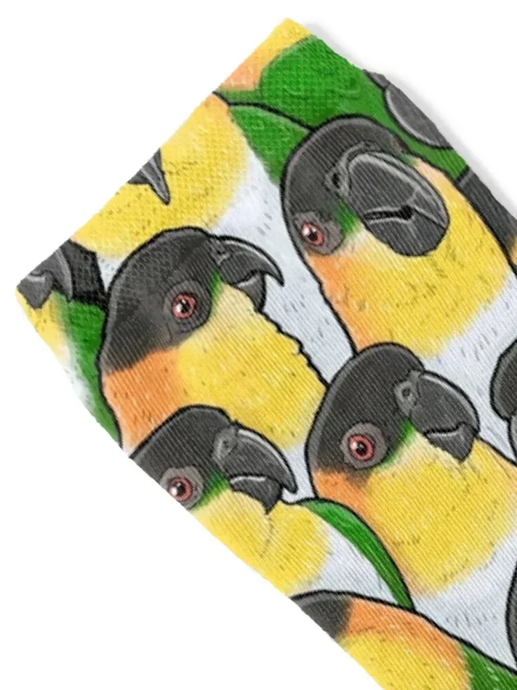 Black-headed Caique Parrots Socks with print new year Woman Socks Men's