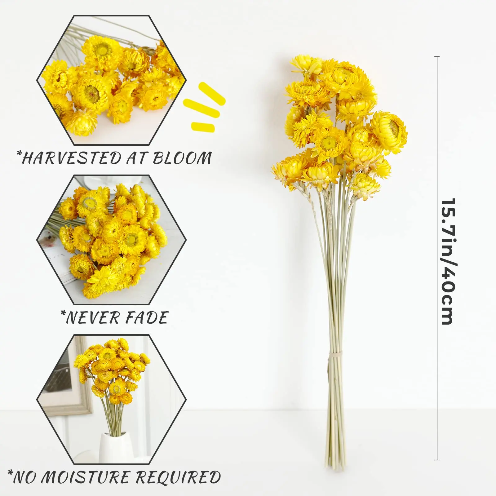 Daisy Dried Flower Bouquet 100%Natural Chrysanthemum Dry Flower for Wedding Centerpieces Home Decor DIY Bridal Bouquet Material
