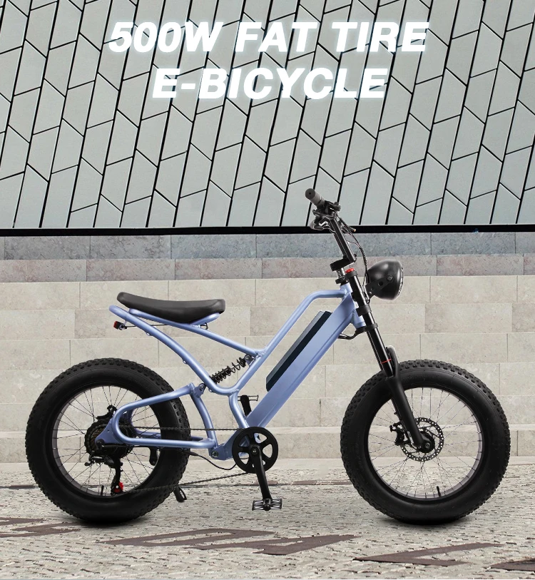 

Good Price 750 Watt Electric Bike Lithium Battery 48V Fat Tire Electric Dirt Bike US Warehouse