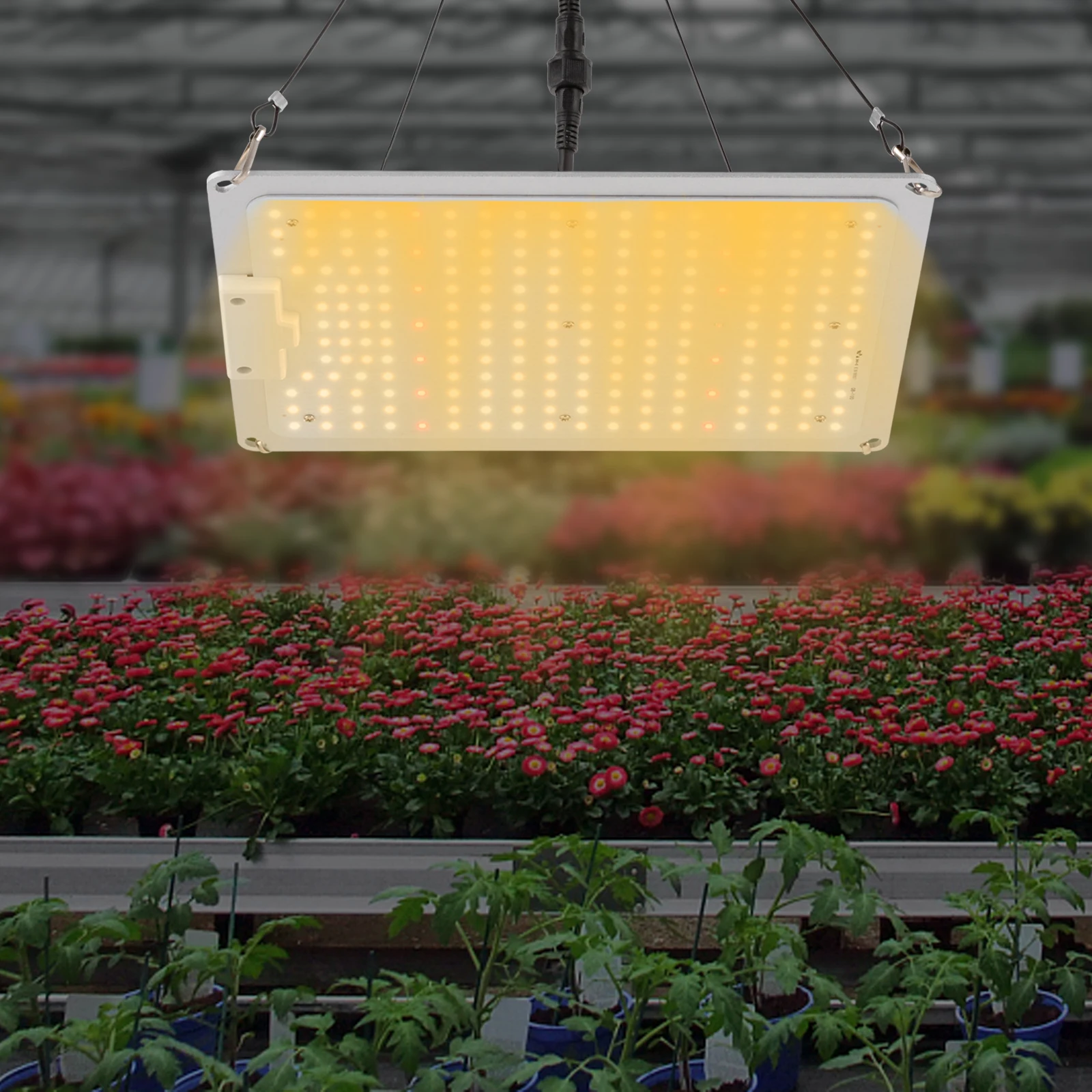 Luz LED de espectro completo para cultivo, lámpara similar al Sol para plantación en interiores, 110w/450w/600w, US