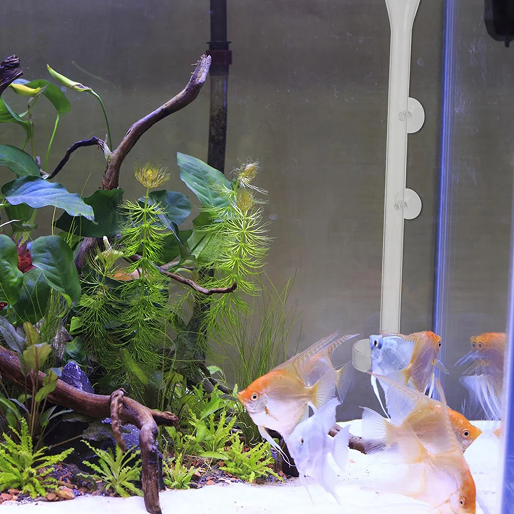 

1Set Multi-Function Aquarium Feeder Transparent Explosion-Proof Shrimp Feeding Dish Easy Install Shrimp Fish Feeder