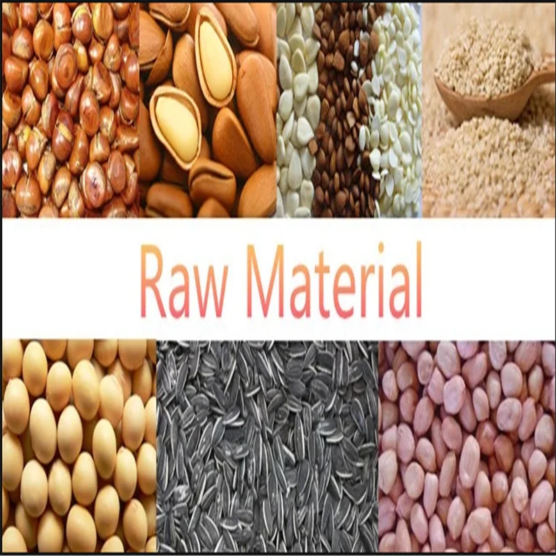 Small Capacity 180-250kg/Hour Cocoa Bean Nut Roasting Machine Lpg Style Peanut Roaster Machines