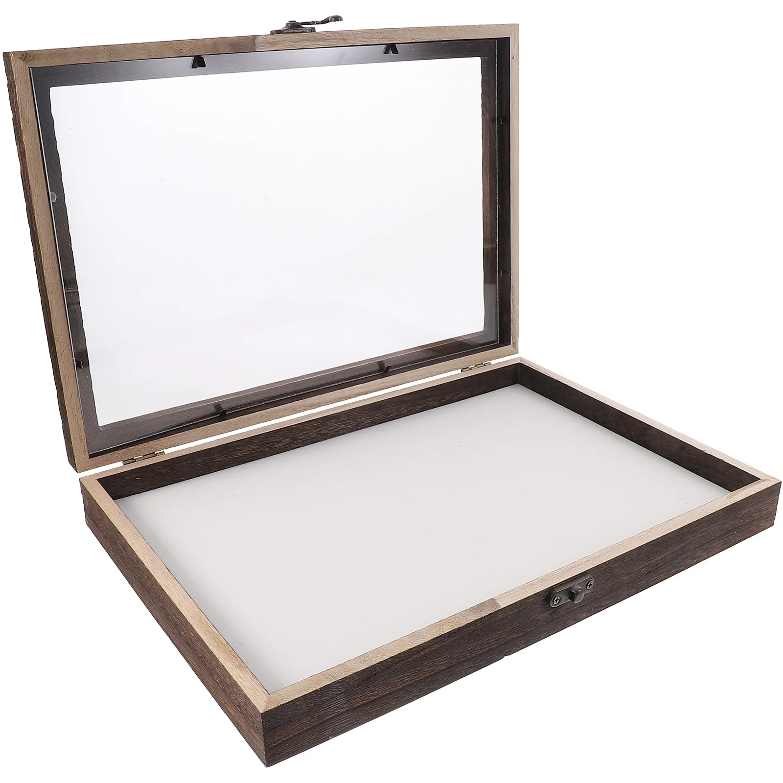 

Insect Specimen Box Wooden Display Case Butterflies Storage Container Acrylic Entomology Preservation Kit Specimen Box Tools