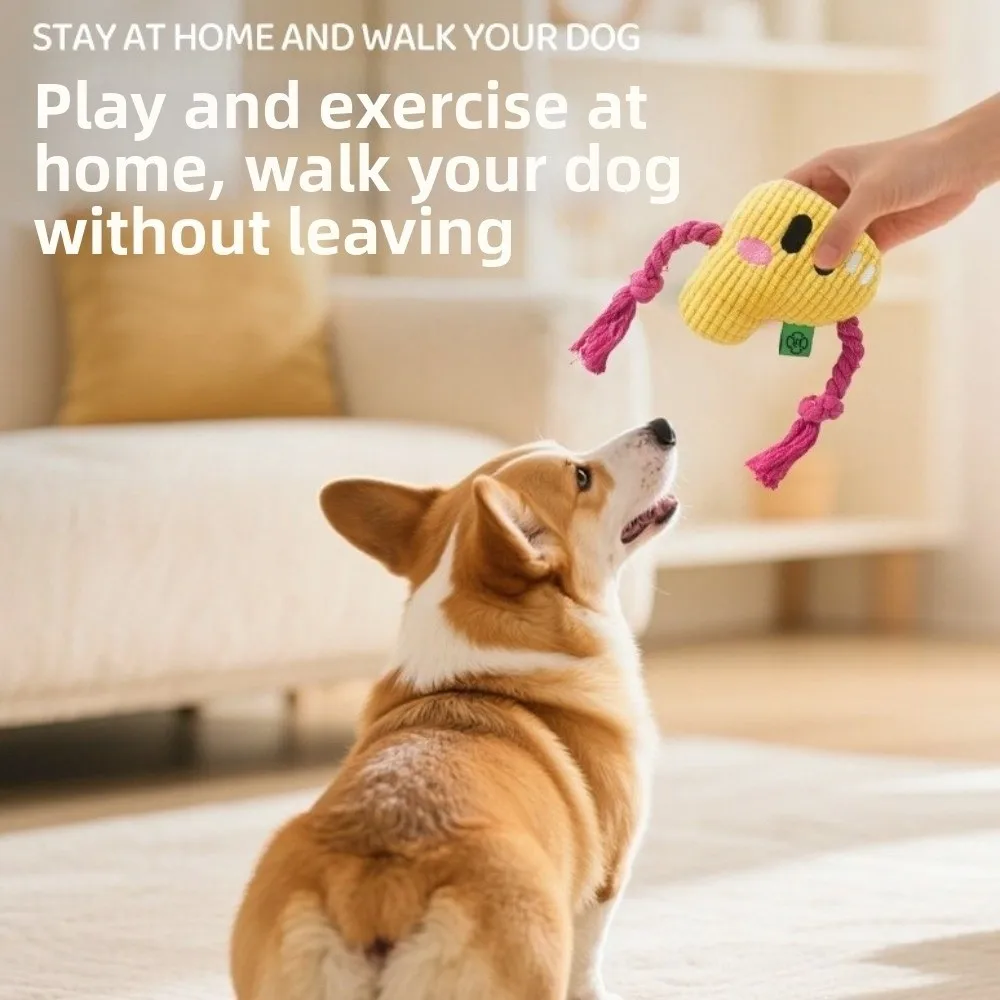 

Alphabet Sounds Dog Chew Bite Resistant Chew Resistant Dog Rope Knot Two-Tone Color Blocking Pineapple Fleece Teeth Cleaning