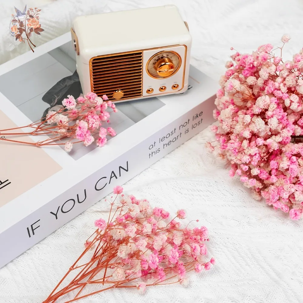 Thumbnail 3 - #19 Top Dried Flowers Picks for Every Budget