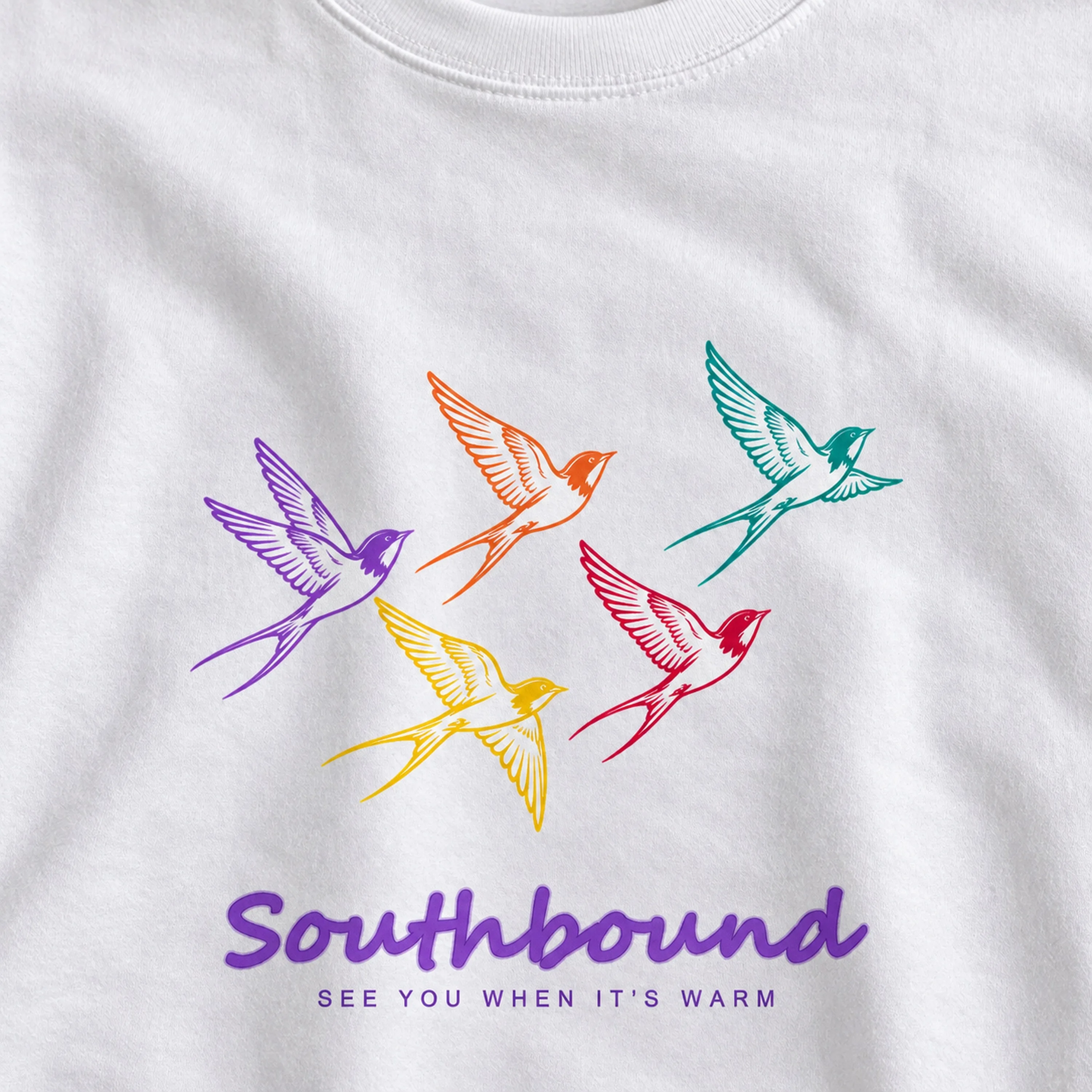 Colorful Swallow Line Art T-Shirt, Front and Back Print