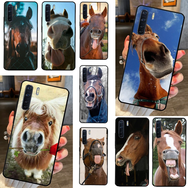 Funny Horse Animal … - image