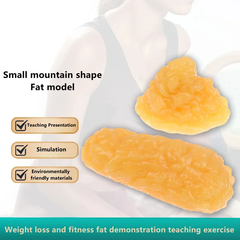 

Реплика жира, модель жирной ткани, Реплика жира человеческого тела, 1 фунт, демонстрационная модель жирной ткани человека для питания, научный курс