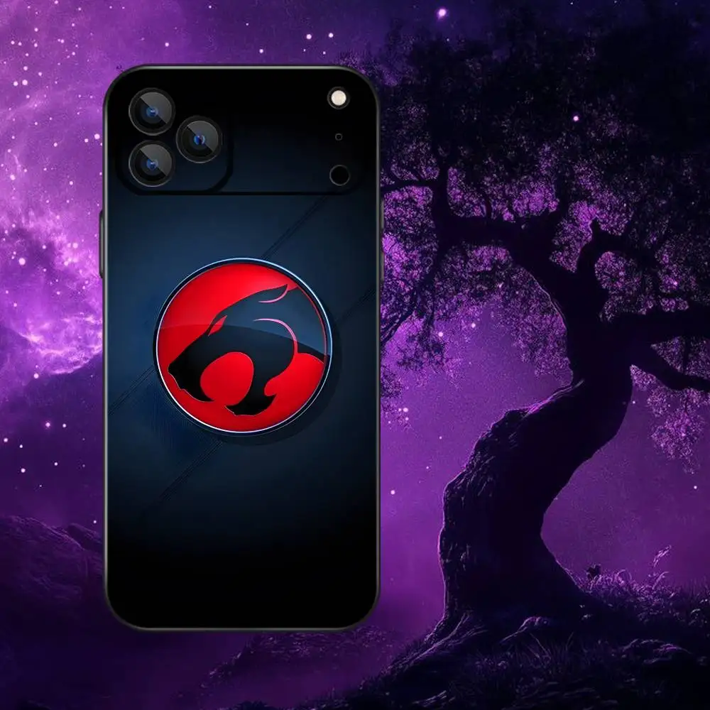 T-ThunderCats CARTOON Phone Case For iPhone 17,16,15,14,13,12,Pro,Max,Plus,E,SE4,Air,Mini Black Soft Box
