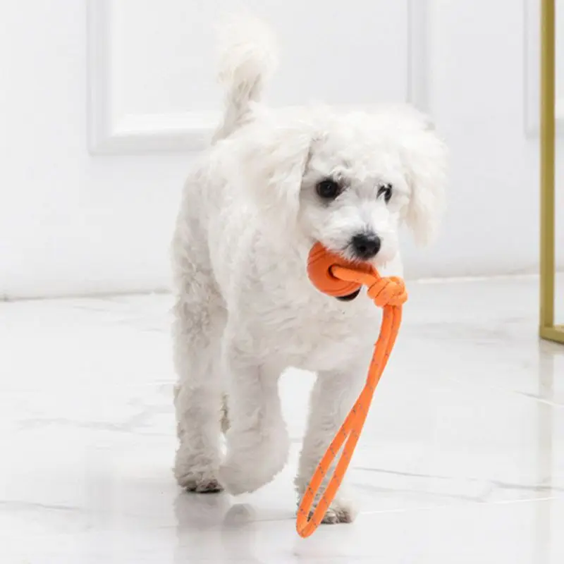 Dog Training Ball on Rope Cotton Rope Ball Toy Nontoxic Durable Interactive Dog Toy for Big Small Dogs Catching Throwing Tugging