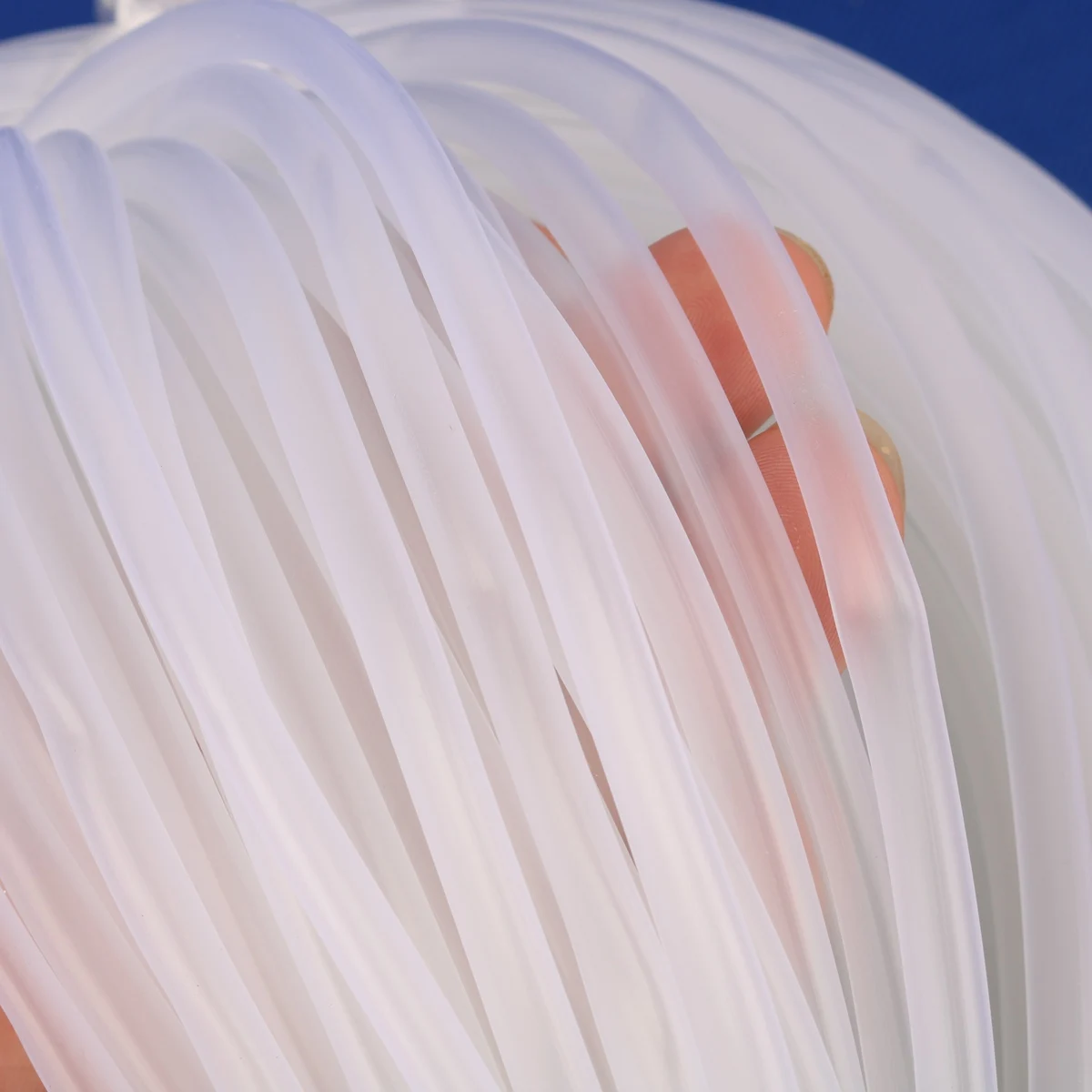 10 Meters Transluce…