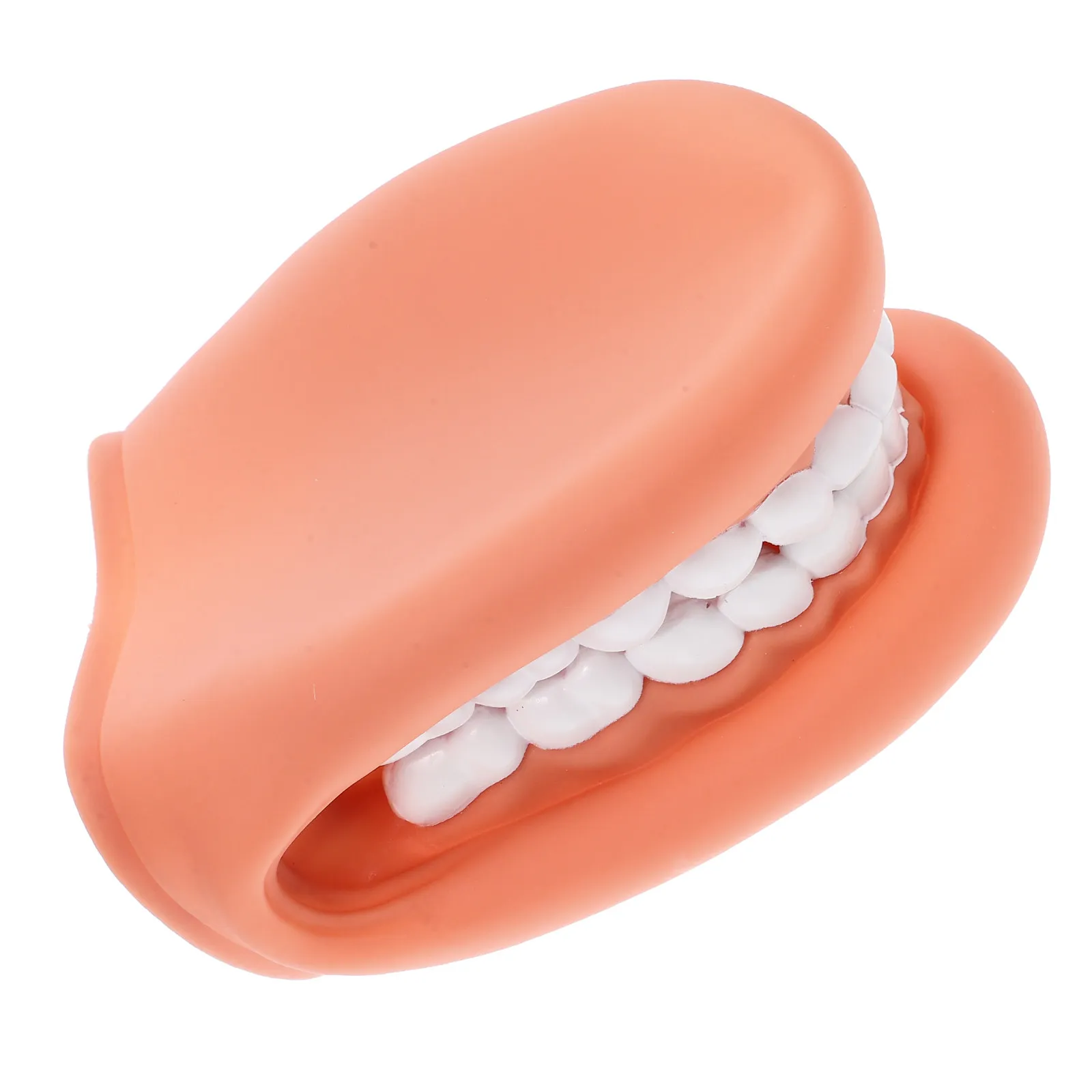 

Dental Teeth Teaching Brushing False Teeth Mouth Demonstration Learning Oral Anatomy Teaching Demonstration Model