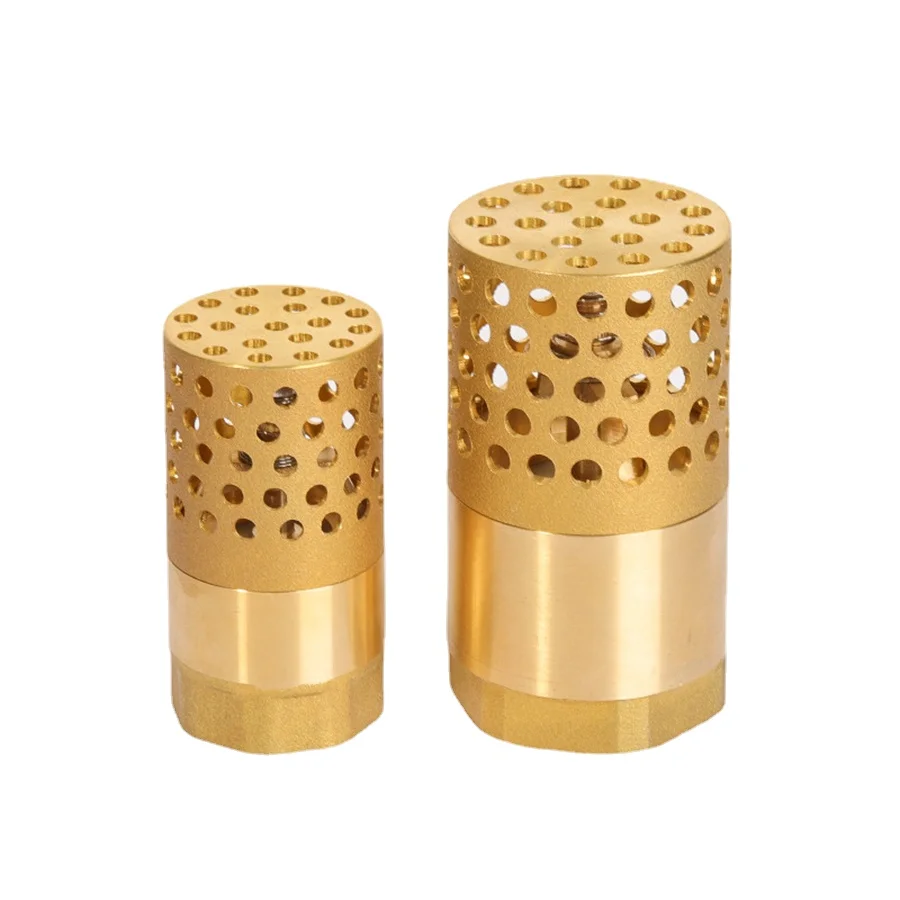 

DN25/32/40/50/65/80 1" 1-1/4" 1-1/2" 2" 3" BSP Female Brass Check Valve Non-return Strainer Filter For Water Plumbing Pump