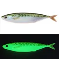 mackerel