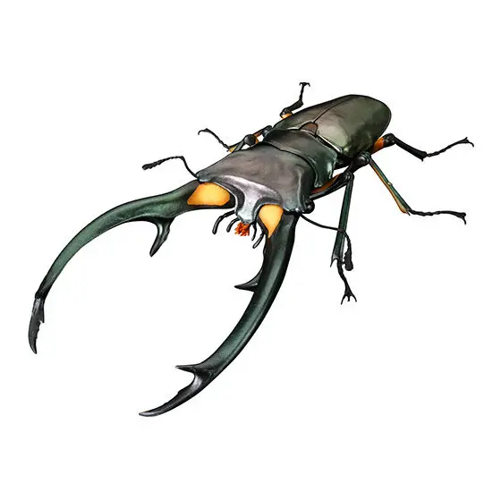 بانداي الحياة الشكل سلسلة الأيل خنفساء 2 الأيل الأحمر سليم الأيل العملاق الأيل خنفساء نماذج جمع الديكور الحلي لعبة الهدايا #6