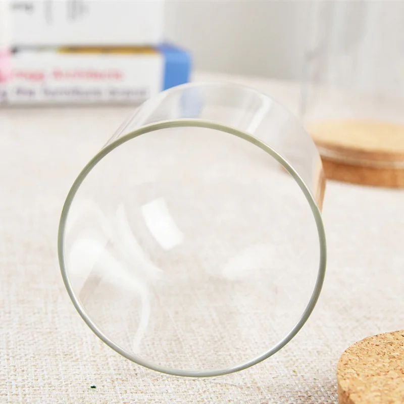 1PC Flower Glass Cover Dome Cover Dustproof Cork Dust Cover For Flower Succulent Plants Vase With Wood Cork Table Decor 8cm