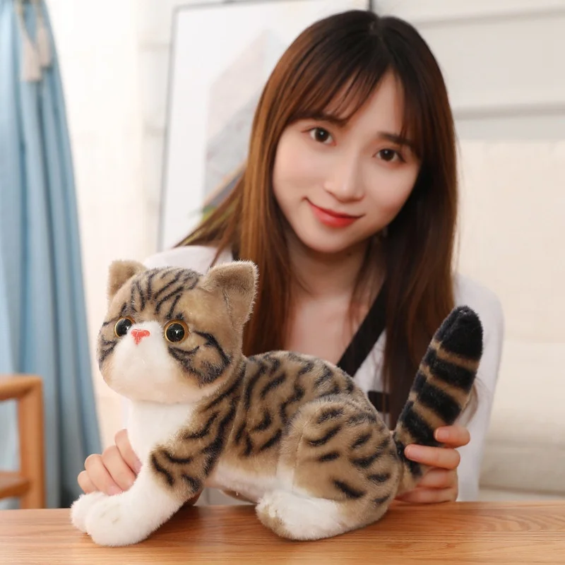 子供のためのイミテーションキティのかわいいおもちゃ,新しい,ぬいぐるみ,猫の星,パカ,フォロー,枕,おもちゃ