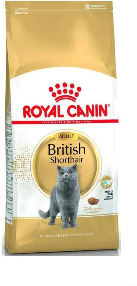 Royal Canin Feline British Shorthair, 1er Pack (1 x 10 kg Beutel) - Katzenfutter