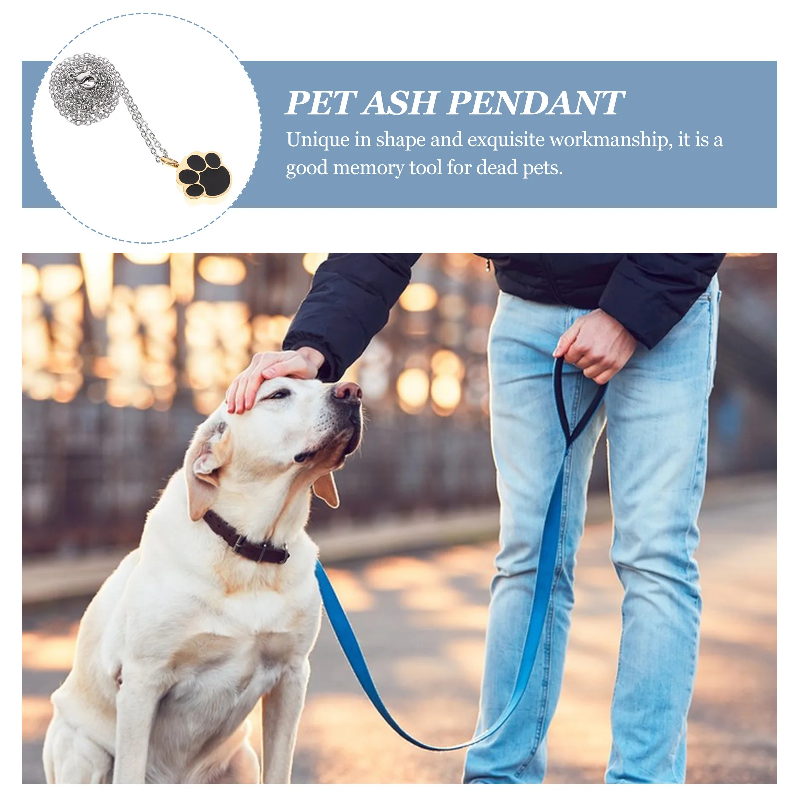 

Ash Pendant Necklace Titanium Steel Pet Urn Container No Fading No Corrosion Rust Resistant Memorial Jewelry Creative Ash