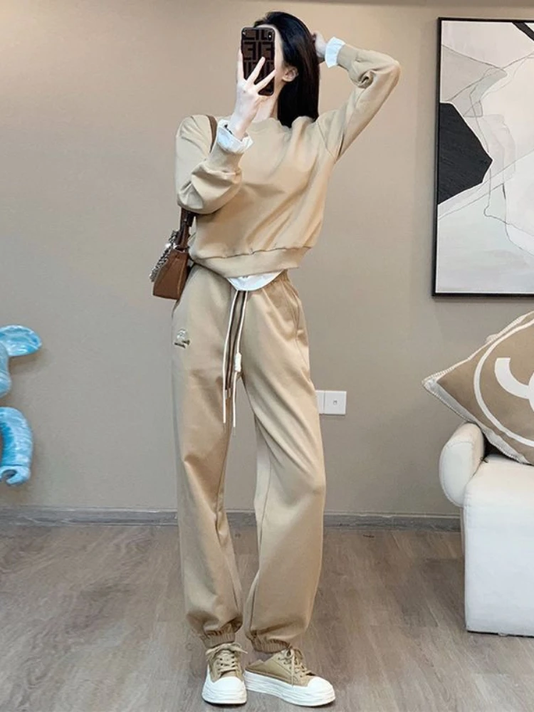 

Модный повседневный спортивный комплект, женский осенне-зимний комплект 202, новый толстый искусственный пуловер из двух частей + боковые штаны, комплект из двух предметов