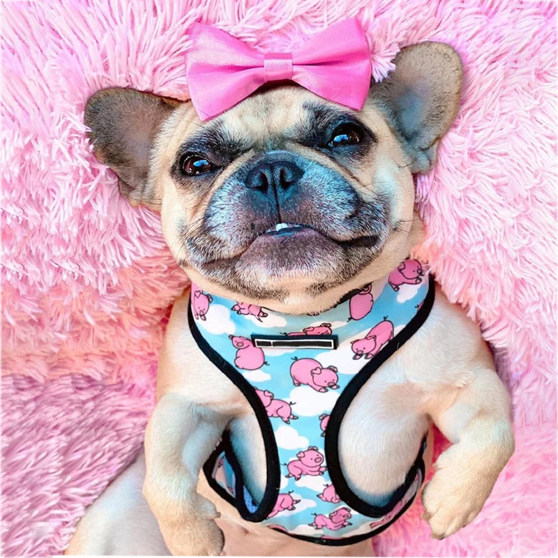 Pink Pig Small Dog Harness With Pull Dog Vest Harnesses For Medium Small Dogs Harness Leash Set Pets Puppy French Bulldog Pug