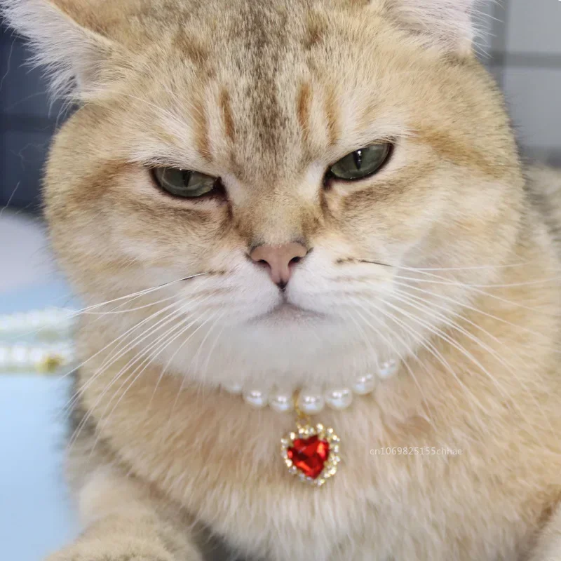 Thumbnail 4 - #56 Top Puppy Leads Picks for Every Budget