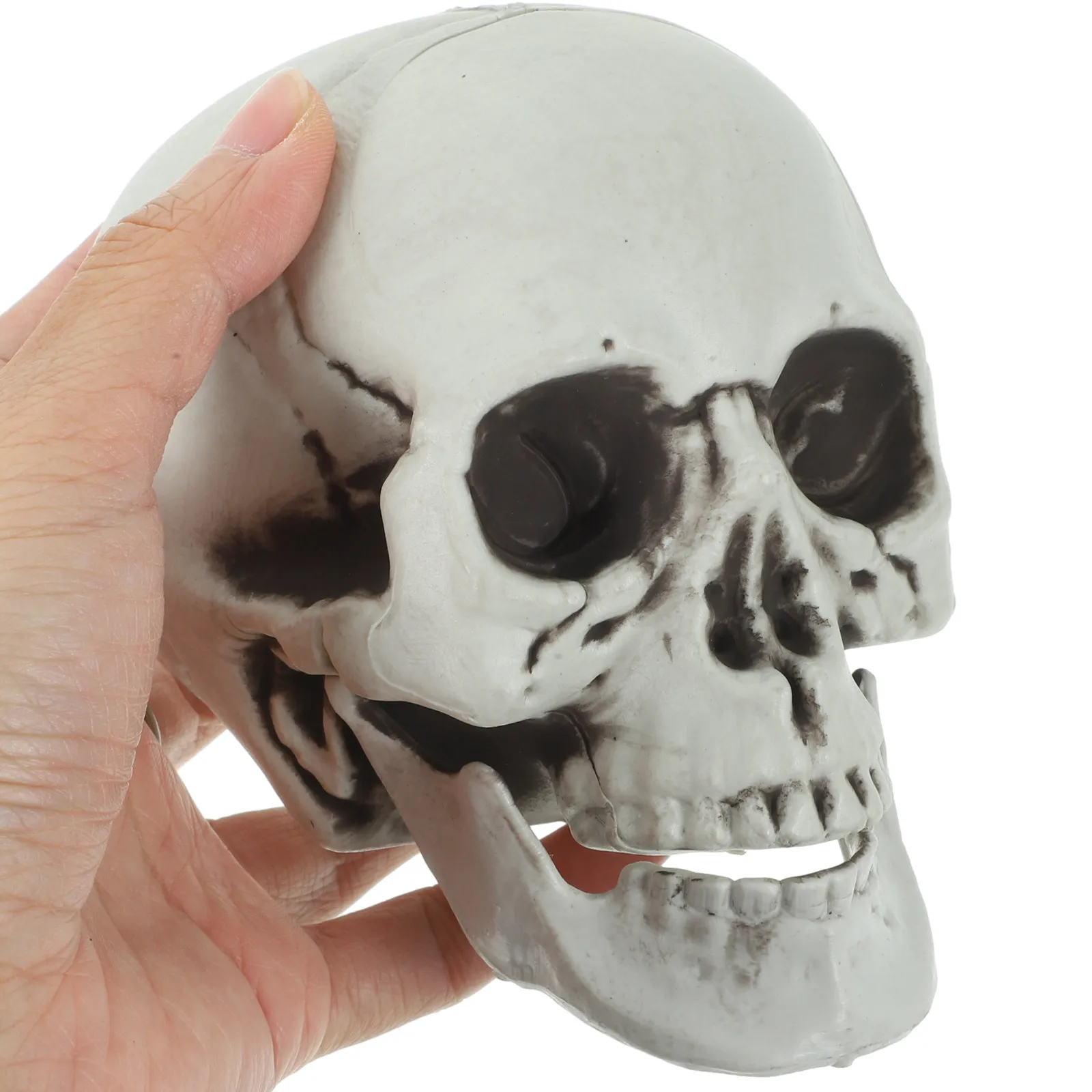 3pcs Lightweight Plastic Skull Ornament for Halloween Party, Masquerade & Desktop Decor