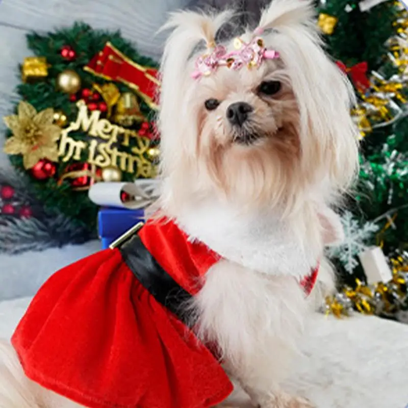 Christmas Dog Dresses For Small Dogs Clothes Winter Christmas Cosplay Dogs Pet Dress Fancy Princess Puppy Dress Bichon Spitz