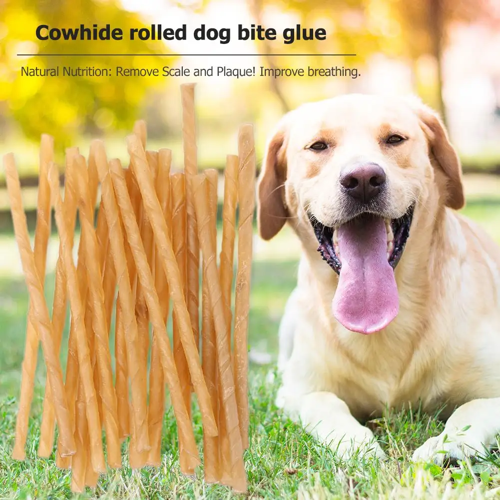 20 Pcs Dog Chews Sticks Dog Dental Sticks Small Dog Treats Tasty Dog Chews Dog Treat Bites for Small Medium Large Breed Chewer