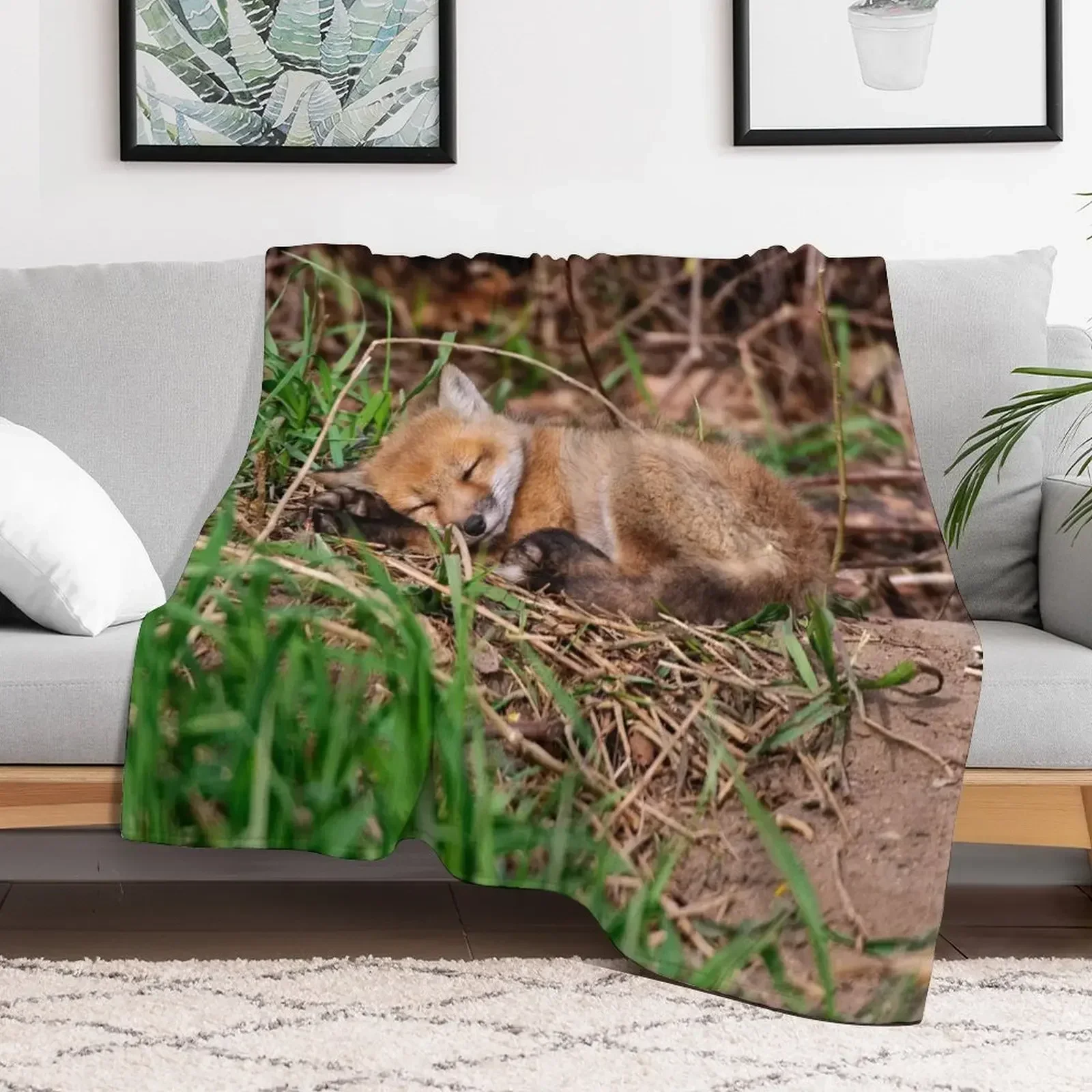

Fox Kit 9 Throw Blanket Stuffeds For Decorative Sofa Blankets Travel decorative Bed Blankets