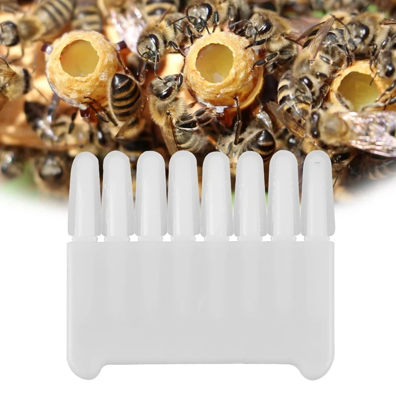 1pc Royal Jelly Cleaning Scraping Pen 8-Row Plastic Picking Pen Outdoor Beekeeping Tool Cleaning Equipment