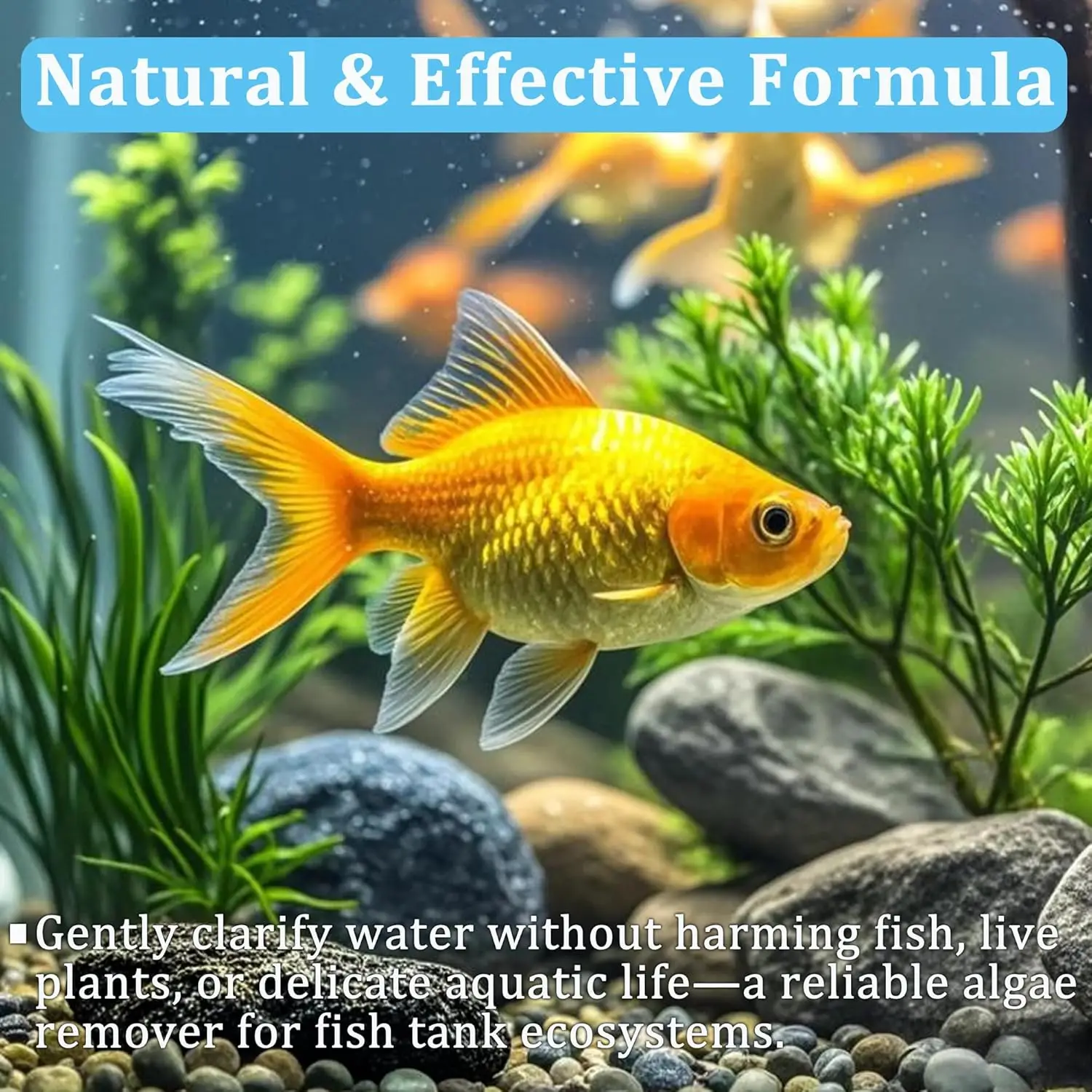 Aquarium Water Clarifier Tablets 4