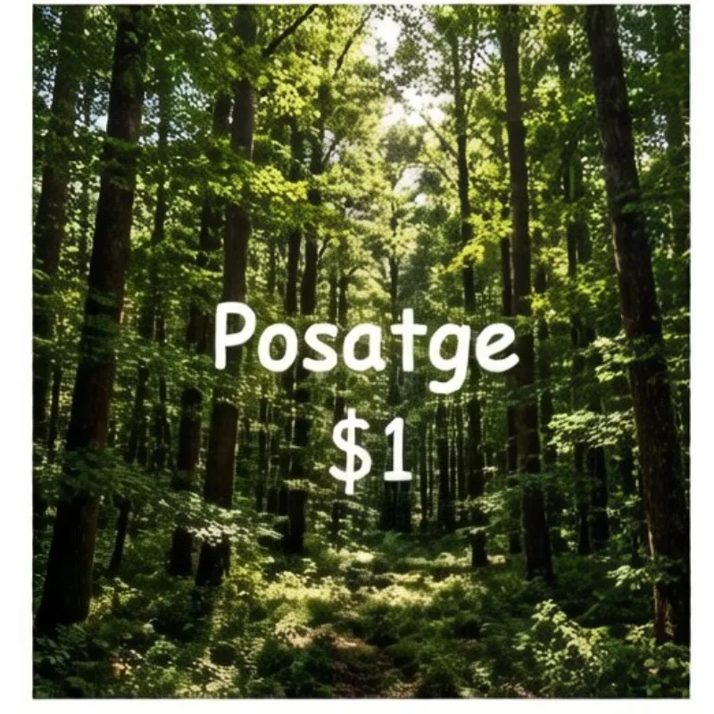 Made-in-China Store   Special link for compensating postage price difference image 4