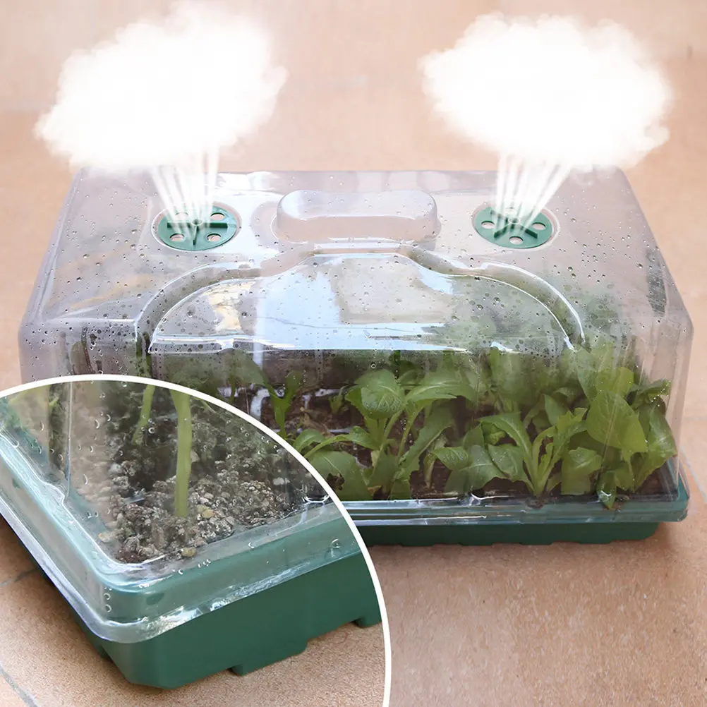 2sets-plastic-sprouting-boxes-transparent-lid-high-budding-rate-seed-germination-tray-plant-nursery-container-planting-box