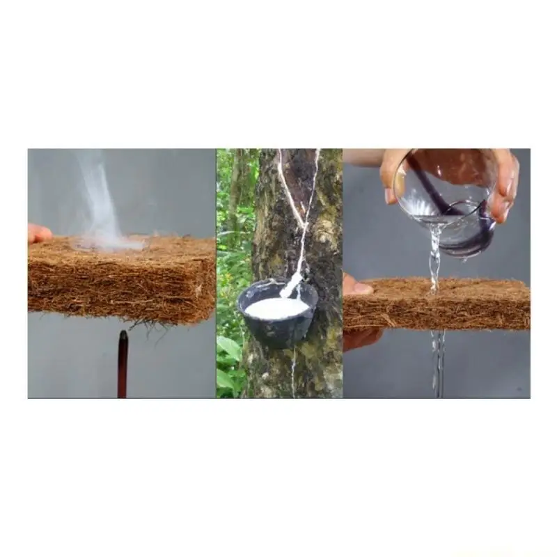 QX2E Alas Tempat Tidur Reptil - Substrate Coconut Fiber ulasan dan harga