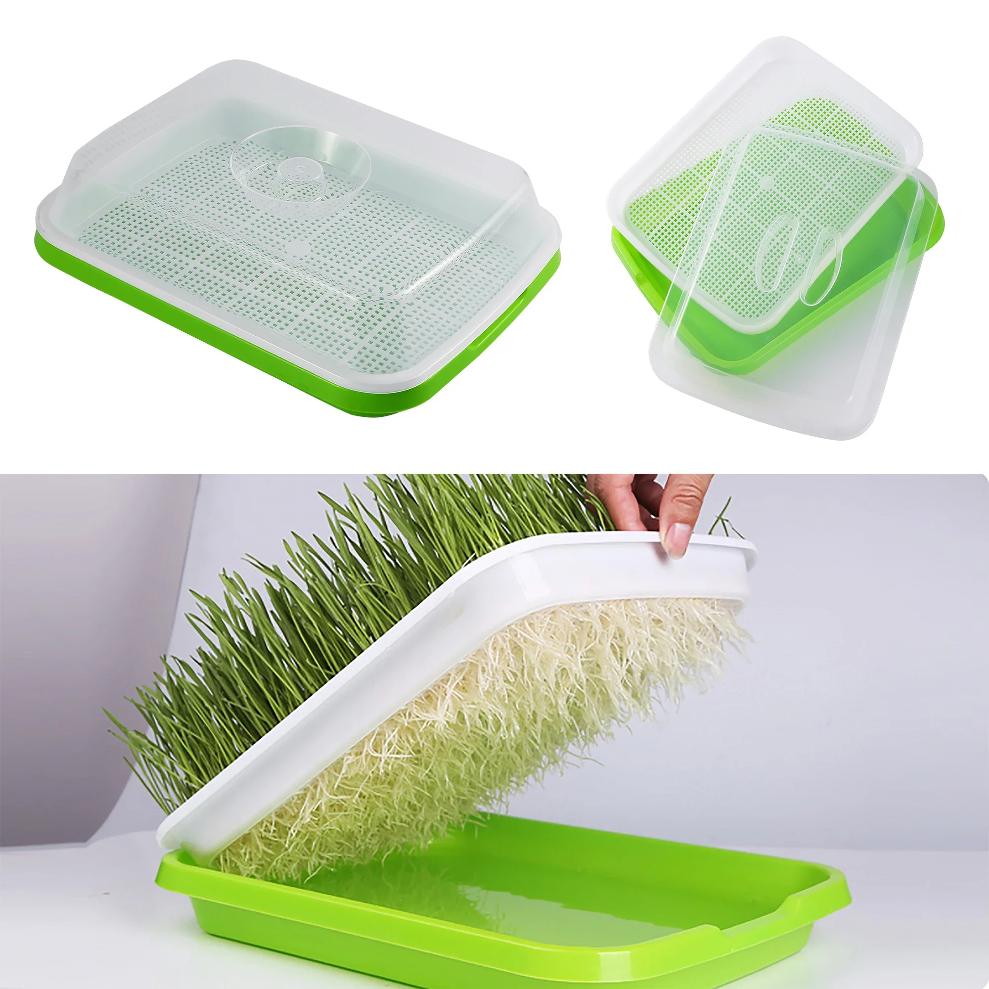 

Germination Nursery Tray Pea Mung Bean Peanut Wheat Water Cultivation Seedling Tray Soilless Cultivation Tray Nursery Tray W led