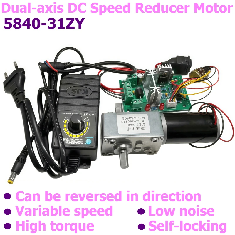 5840-31ZY Turbine Worm Self-locking Double-Output Shaft Reducer Motor with Speed Regulator, Adjustable Power Supply