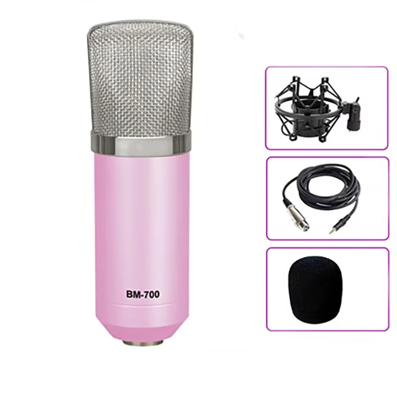 Condenser Microphone Set Studio Mic Equipment Recording Outdoor Gaming Microfono Usb