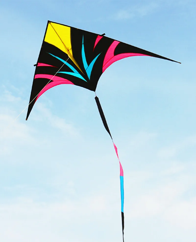 free shipping large delta kites flying for adults kites reel professional wind kites factory pocket kite sports toys eagle kite