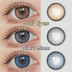 Magister Diamond N Ever Green/Candy Brown Color Contact Lenses Diamond-Cut Gaze Process To Big Eyes Iris Imitation Lens 6 Months
