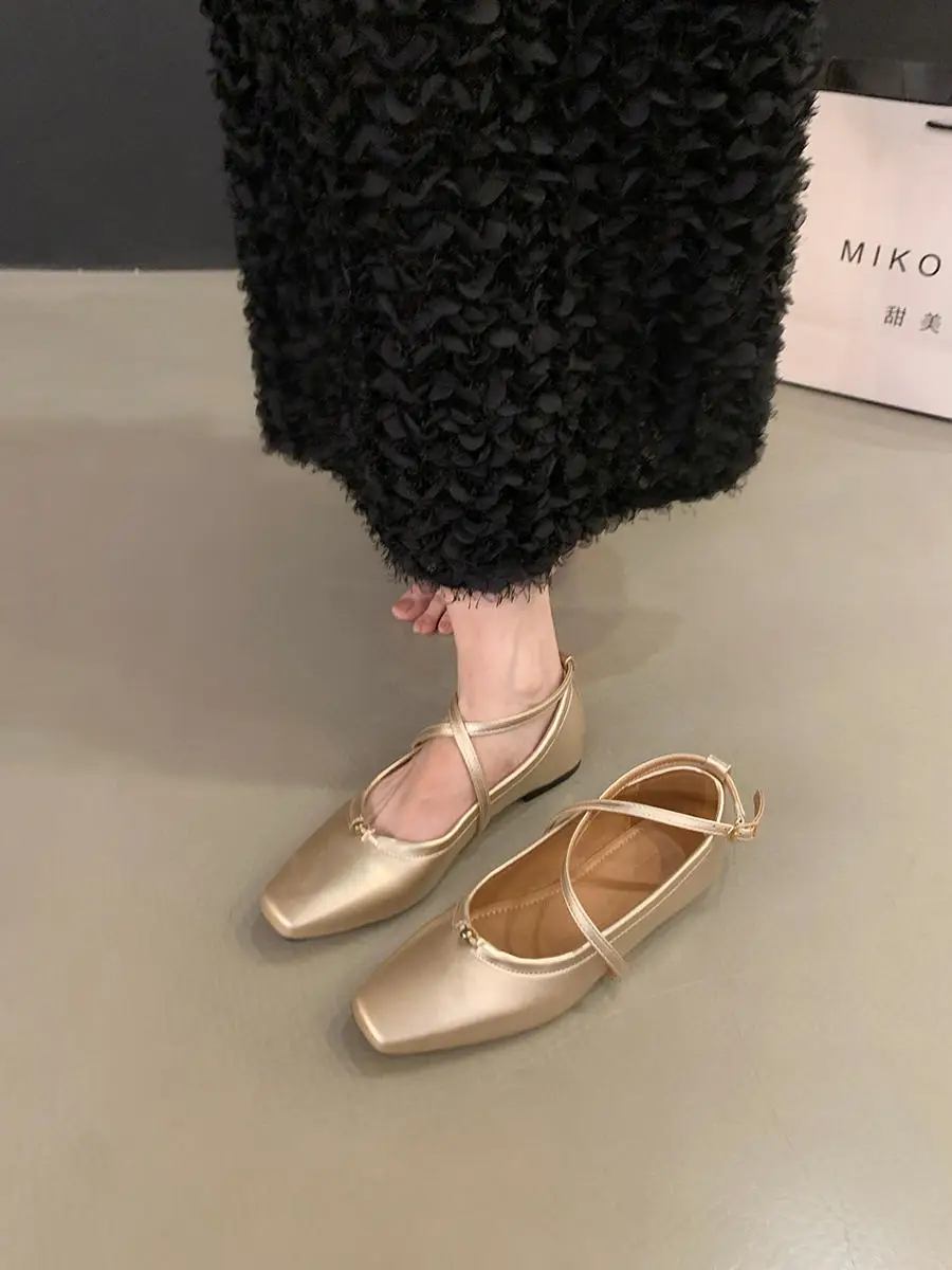 

Fashion Strap Women Mary Jane Shoes New 2024 Autumn Pointed Toe Dress Flat Shoe Ladies Red Soft Sole Ballet Shoes Zapatos