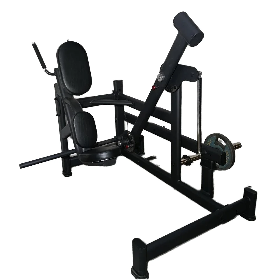 

2025 New Product Fitness Equipment & Body Building Pendulum Kick Back