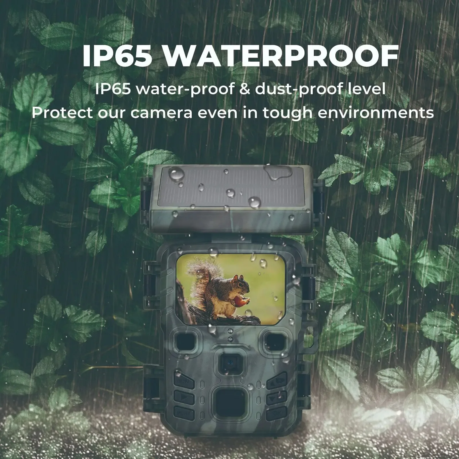 Cámara de Rastreo Inalámbrica  - Outdoor Hunting Camera Wireless reseña y precio