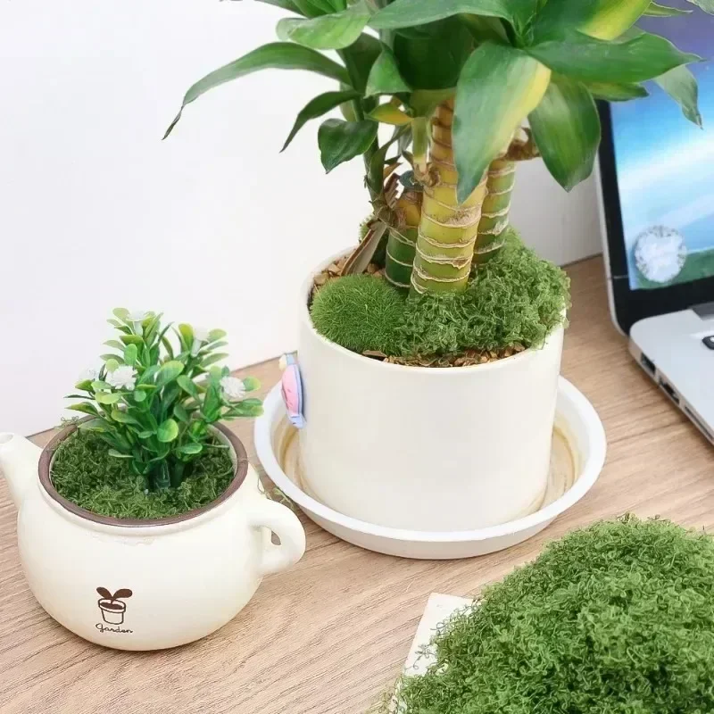 30g Artificial Green Plants Polyester Moss Grass Home Living Room Garden Decoration Mini Landscape Fake Flower DIY Crafts