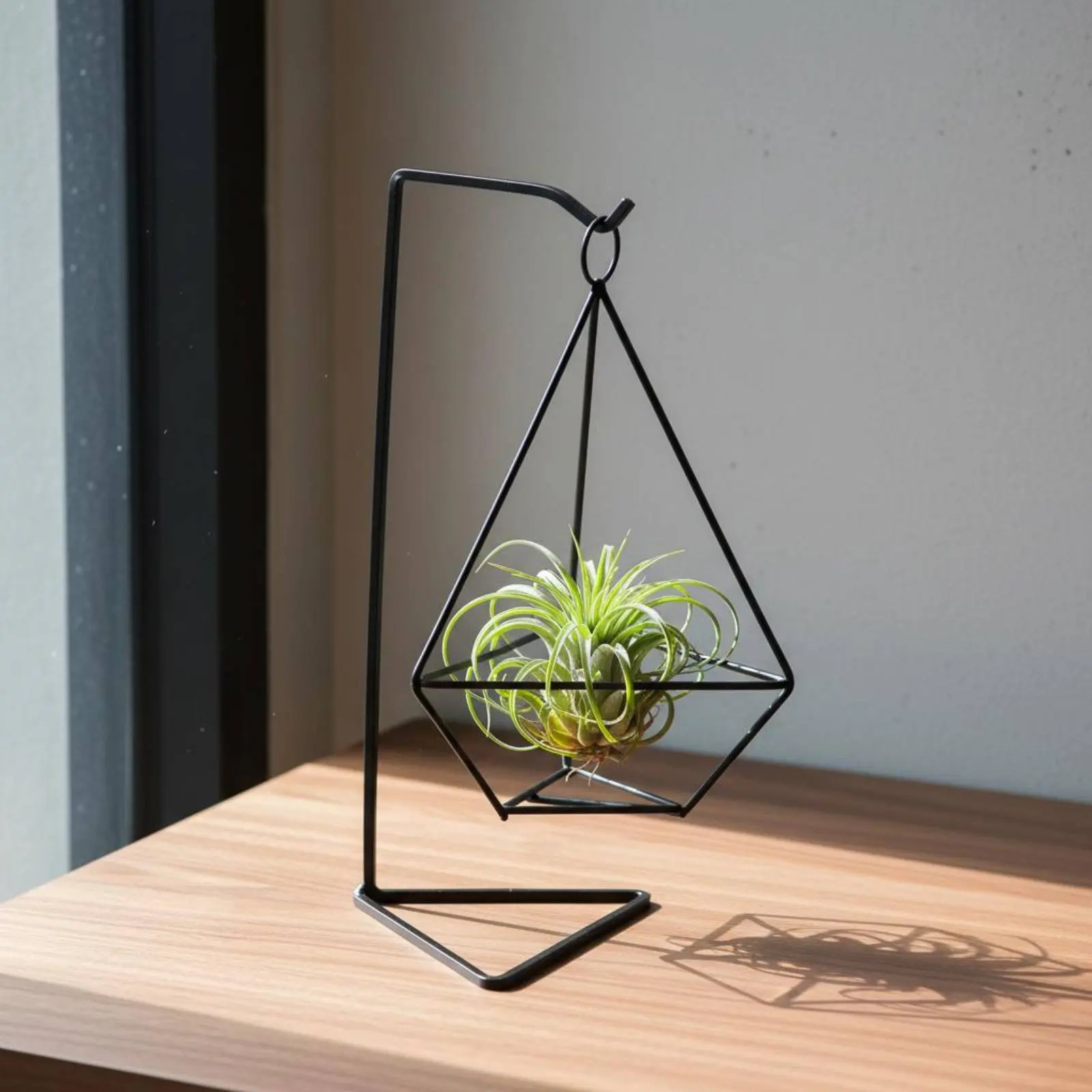 Soporte Geométrico para Plantas Aéreas, Diseño Minimalista, Base Estable de Hierro, Soporte Artístico de Hierro para Tillandsias