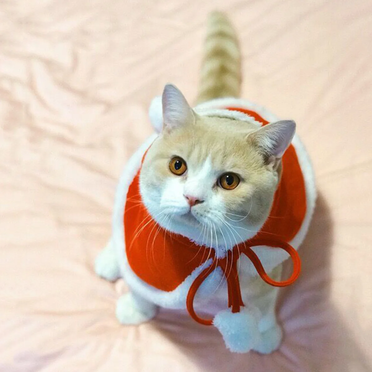 

Pet Shawl Dog Costume for Christmas Clothing Winter Clothes Costumes Dog's Cape