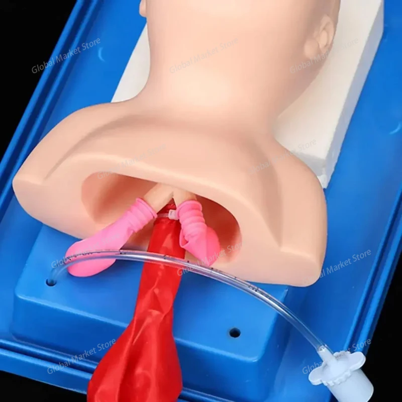 Modelo de entrenamiento de intubación traqueal para recién nacidos, modelo de estudio, simulador de intubación traqueal Nasal Oral con tubo endotraqueal
